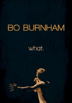 Bo Burnham: What.-hd