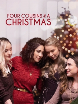 Four Cousins and a Christmas-hd
