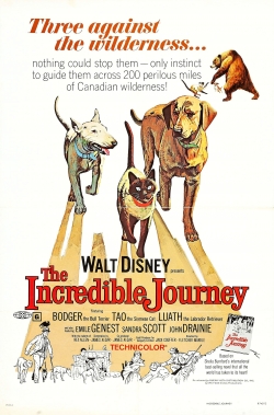 The Incredible Journey-hd