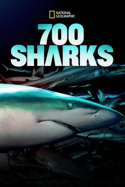 700 Sharks-hd