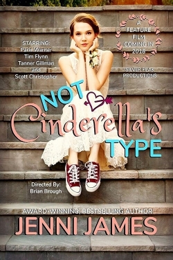 Not Cinderella's Type-hd