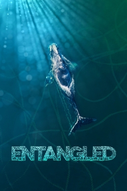 Entangled: The Race to Save Right Whales from Extinction-hd