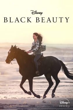 Black Beauty-hd