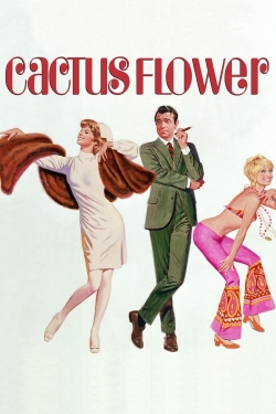 Cactus Flower-hd