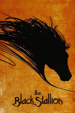 The Black Stallion-hd
