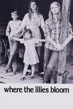 Where the Lilies Bloom-hd