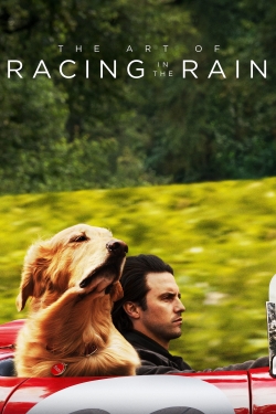 The Art of Racing in the Rain-hd