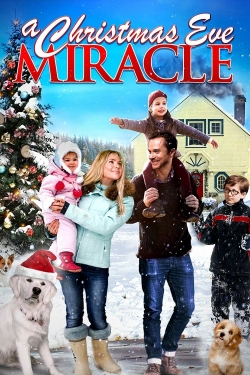 A Christmas Eve Miracle-hd