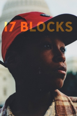 17 Blocks-hd