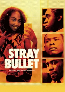 Stray Bullet-hd