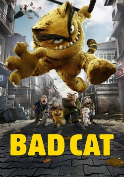 Bad Cat-hd