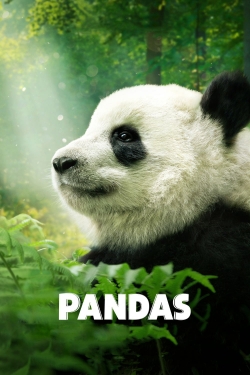 Pandas-hd
