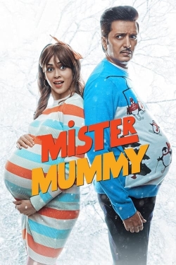 Mister Mummy-hd