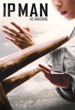 Ip Man: The Awakening-hd
