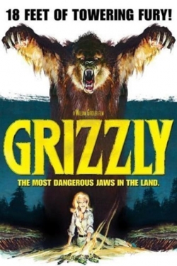 Grizzly-hd