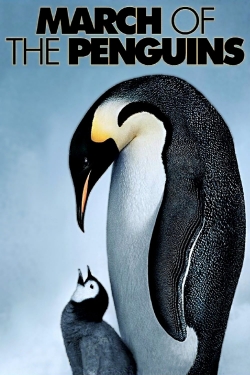 March of the Penguins-hd