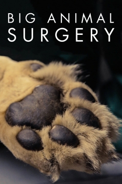 Big Animal Surgery-hd