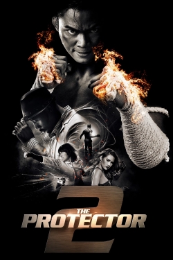 The Protector 2-hd
