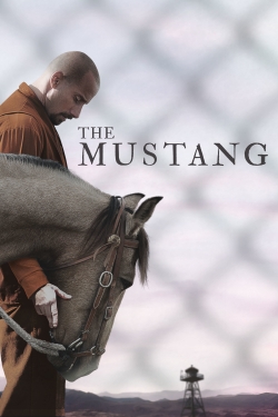 The Mustang-hd