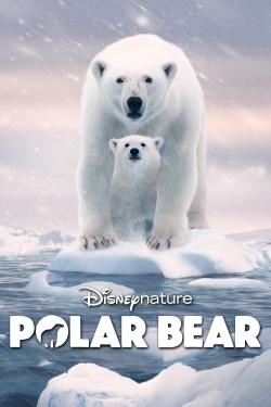 Polar Bear-hd