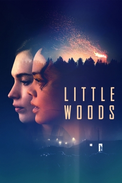 Little Woods-hd