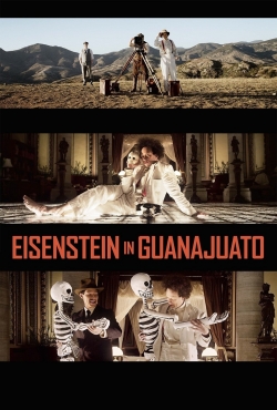 Eisenstein in Guanajuato-hd