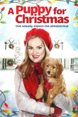 A Puppy for Christmas-hd