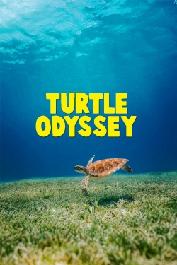 Turtle Odyssey-hd