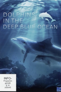 Dolphins in the Deep Blue Ocean-hd