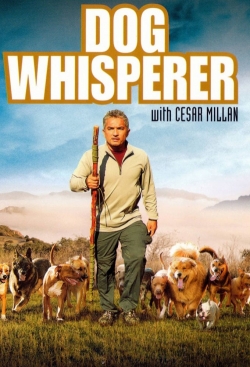 Dog Whisperer-hd
