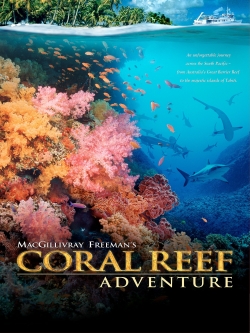 Coral Reef Adventure-hd
