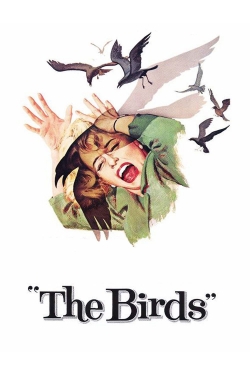 The Birds-hd