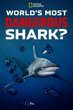 World's Most Dangerous Shark?-hd