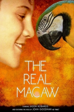 The Real Macaw-hd