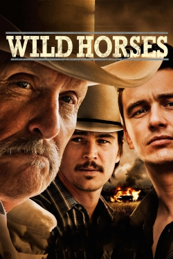 Wild Horses-hd