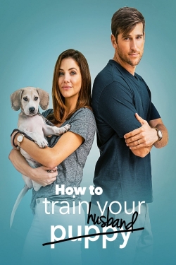 How to Train Your Husband-hd