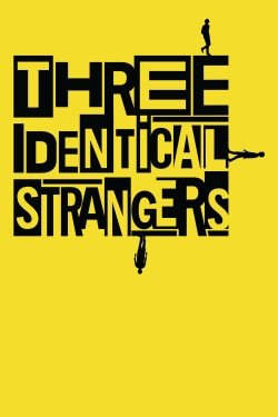 Three Identical Strangers-hd