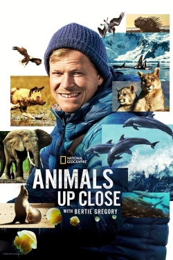 Animals Up Close with Bertie Gregory-hd
