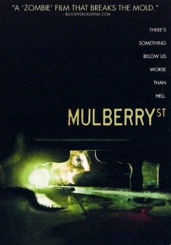 Mulberry Street-hd