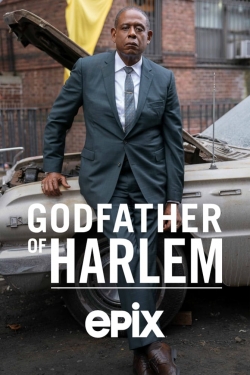Godfather of Harlem-hd