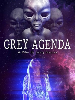 Grey Agenda-hd