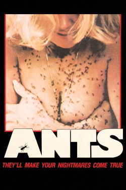 Ants-hd