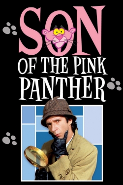 Son of the Pink Panther-hd
