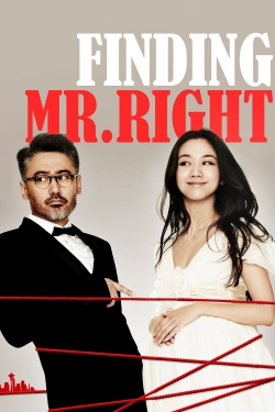 Finding Mr. Right-hd