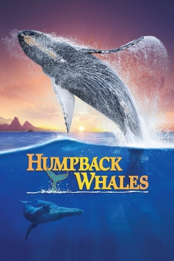 Humpback Whales-hd