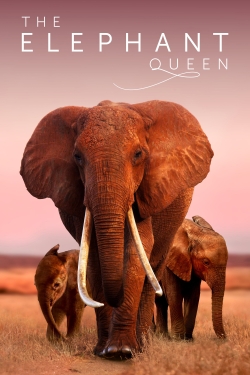The Elephant Queen-hd