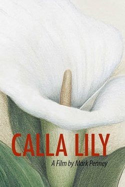 Calla Lily-hd