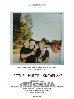 Little White Snowflake-hd