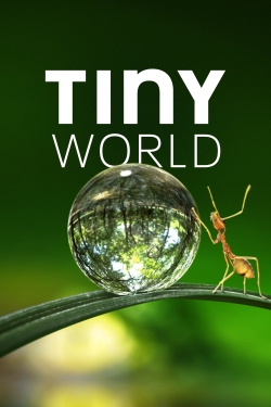 Tiny World-hd