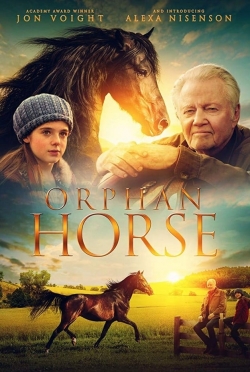 Orphan Horse-hd
